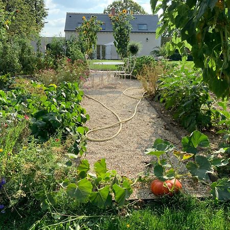 Vila Le Gite Du Chemin Vert Pontlevoy Exteriér fotografie