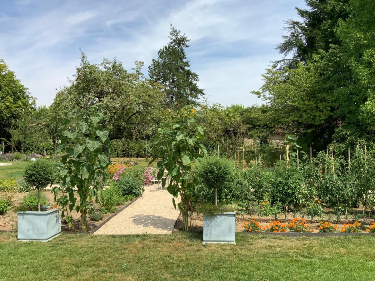 Vila Le Gite Du Chemin Vert Pontlevoy Exteriér fotografie