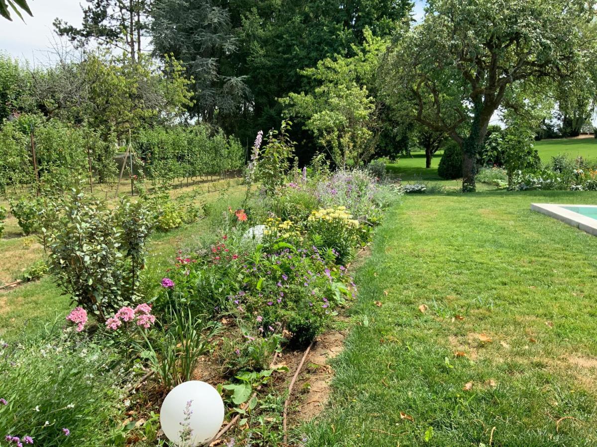 Vila Le Gite Du Chemin Vert Pontlevoy Exteriér fotografie