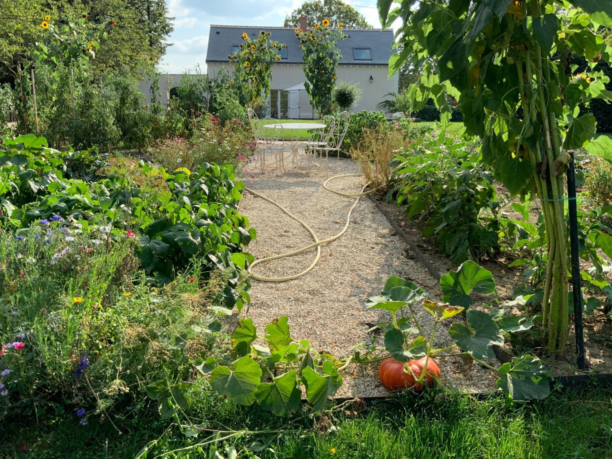 Vila Le Gite Du Chemin Vert Pontlevoy Exteriér fotografie